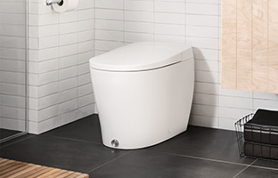 「摩力盾」黑科技，緩解如廁的種種尷尬