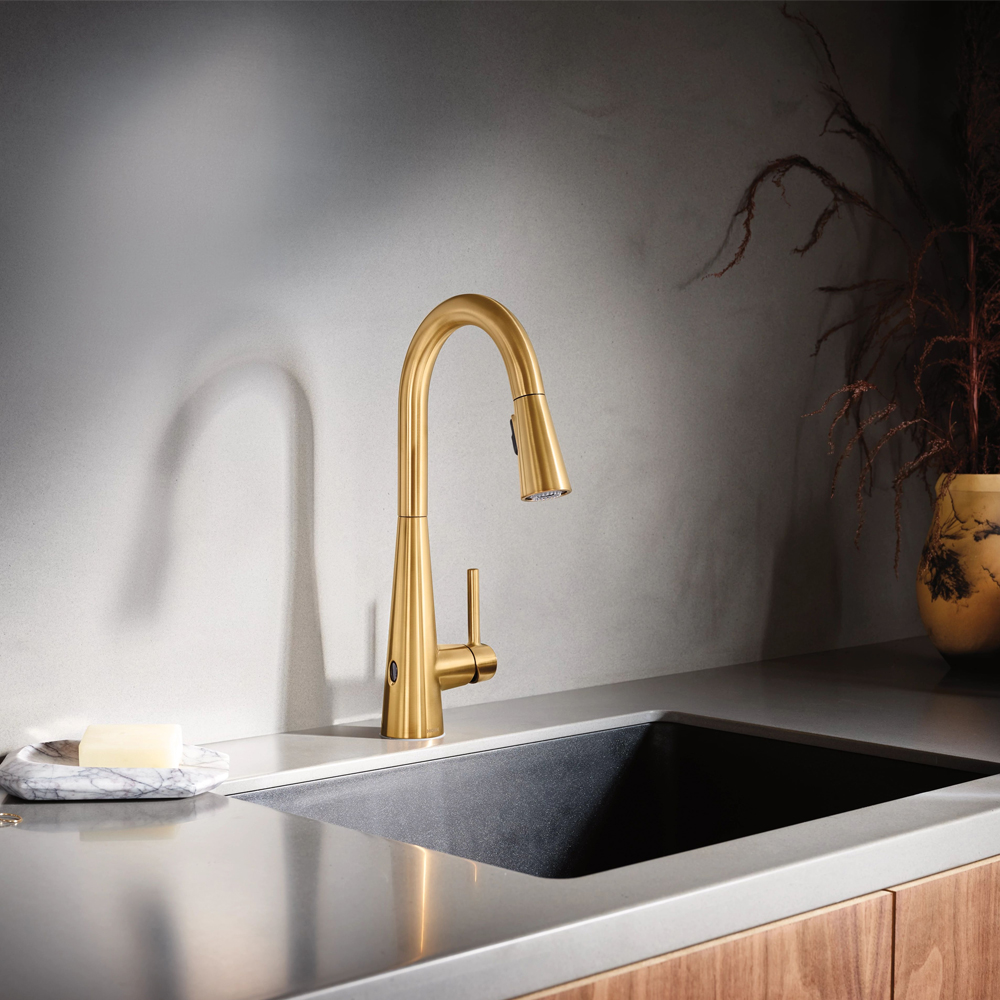 選水槽時，注意這幾點