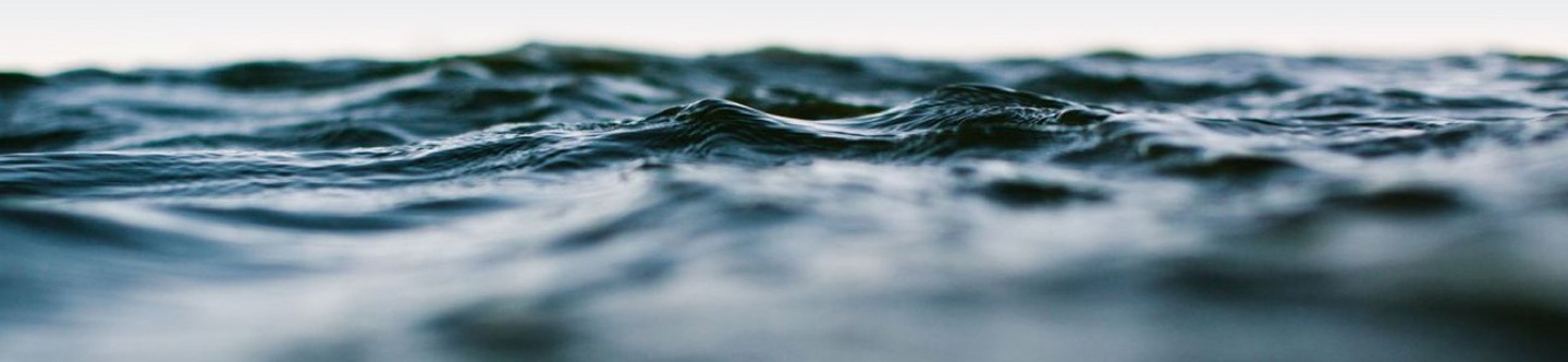 Moen Designs for Water